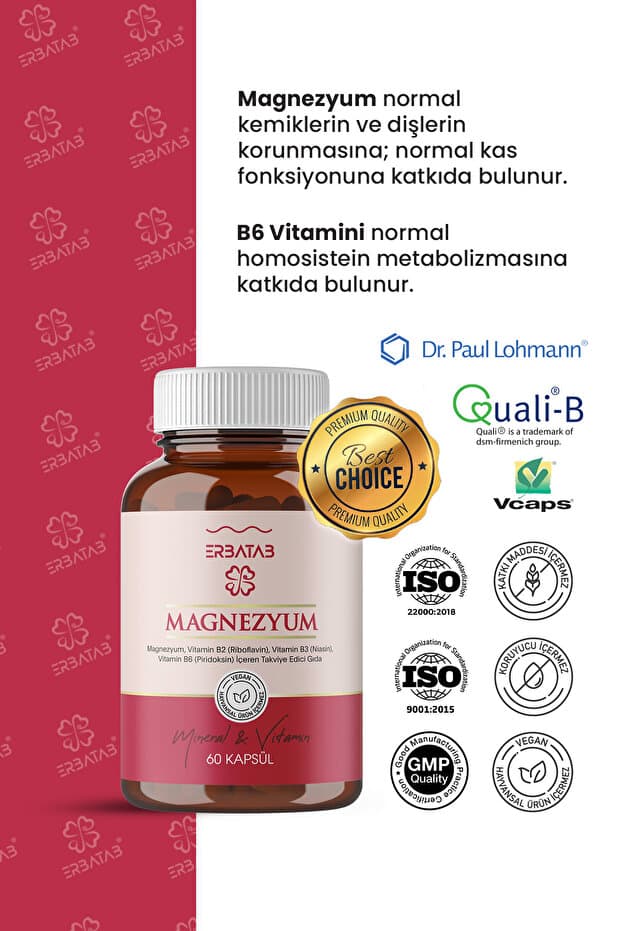 Magnezyum 3 Lü Form (BİSGLİSİNAT, SİTRAT, MALAT) & Vitamin B2 , B3 , B6 - 60 Kapsül